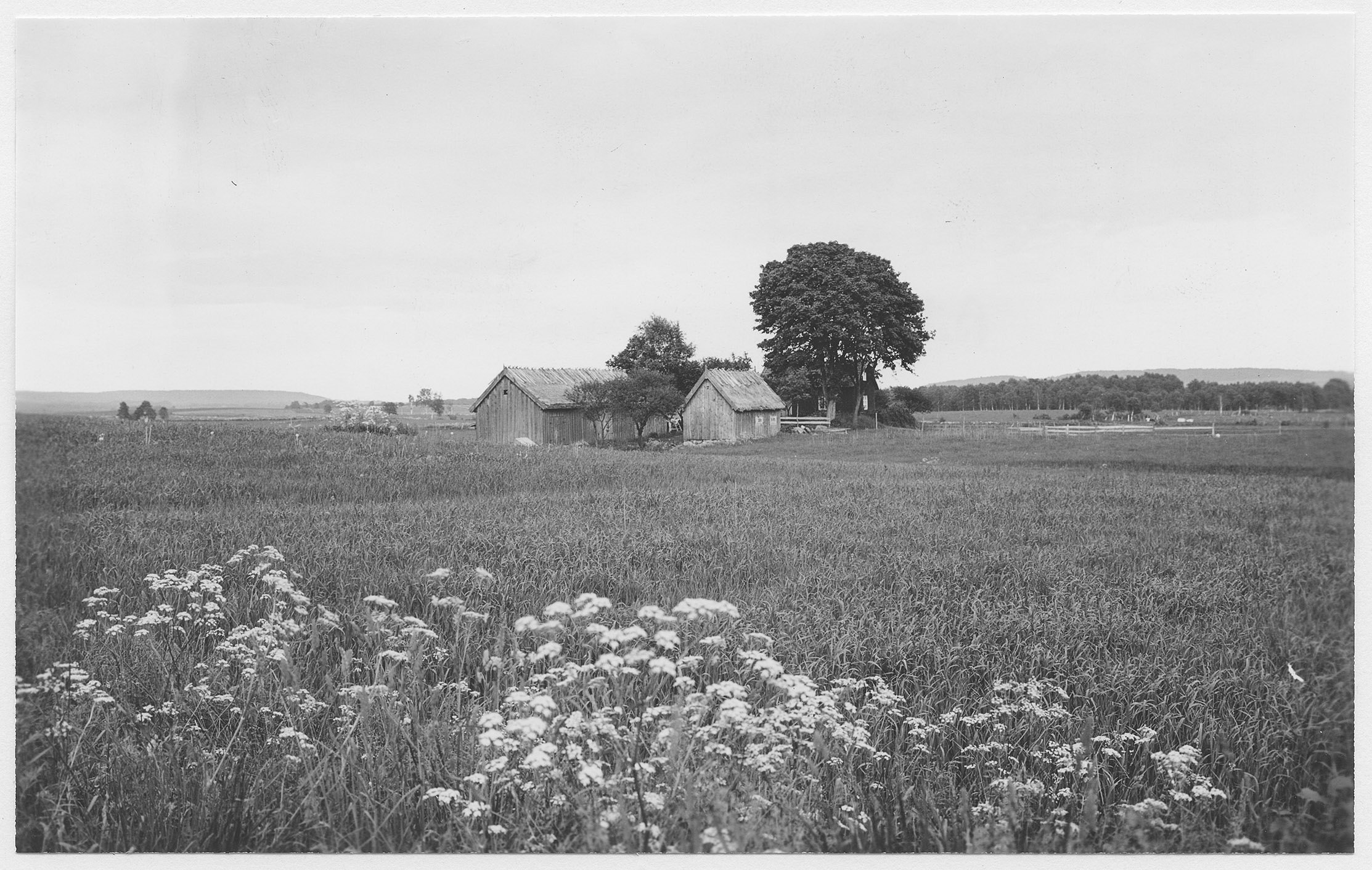 Mårten Sjöbeck, Häggums socken, bondgård