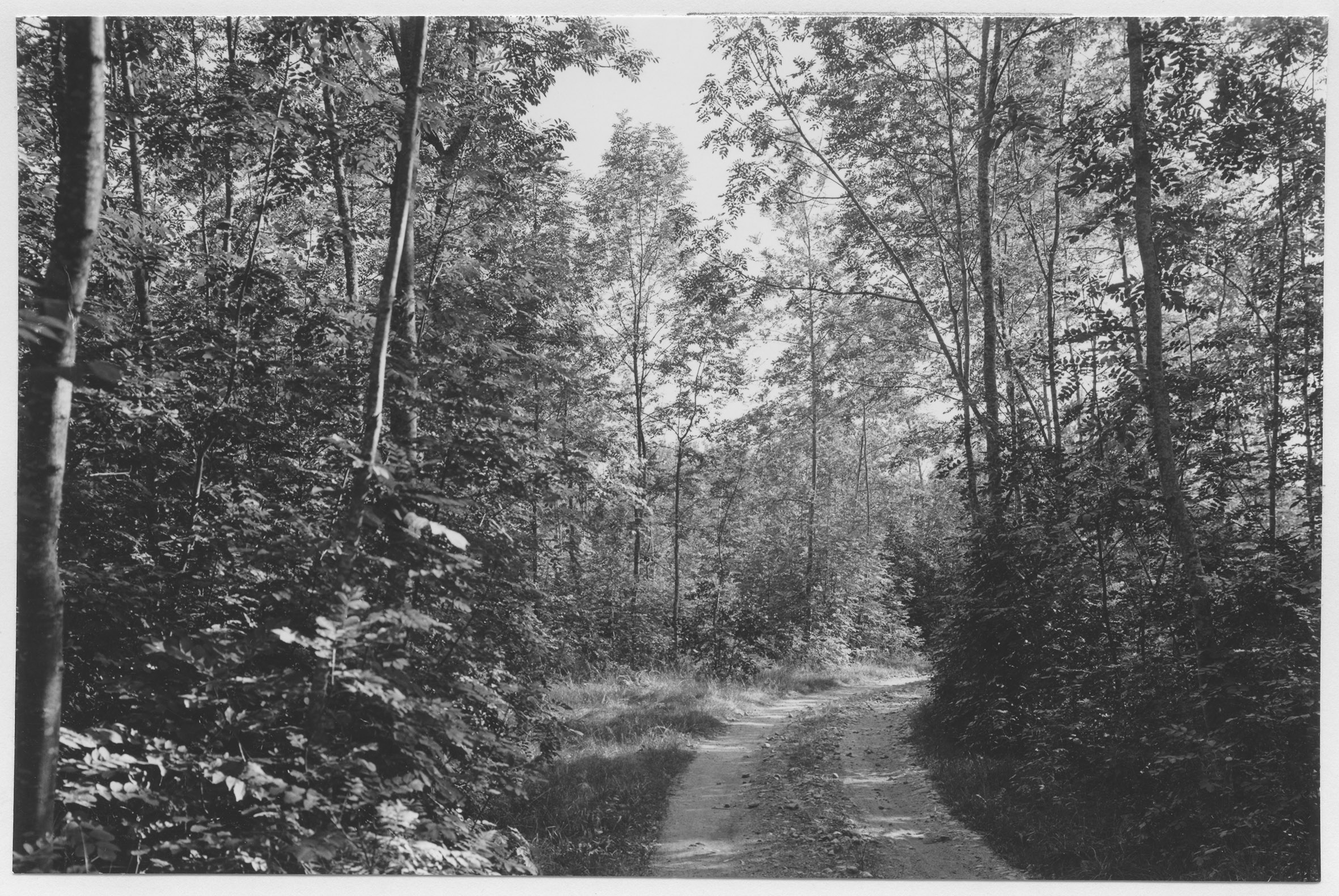 Mårten Sjöbeck, Göksholm, väg