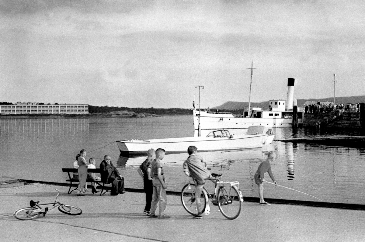 Anno Domkirkeodden, HAMAR BRYGGE, BÅTEN TIL ERLING CAE, VIKING II, D. S. SKIBLADNER, BARN MED SYKLER. Gutt nr 3 fra høyre er Erik Jørgen Jølsgard, og det er hans sykkel som ligger på bakken. Se også P-00091.
