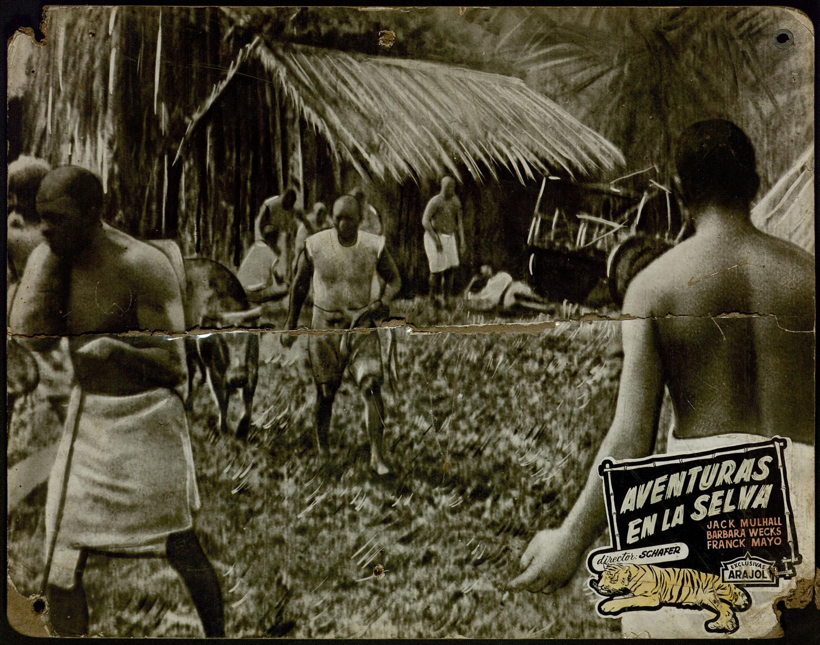 Desconegut, Aventuras en la selva