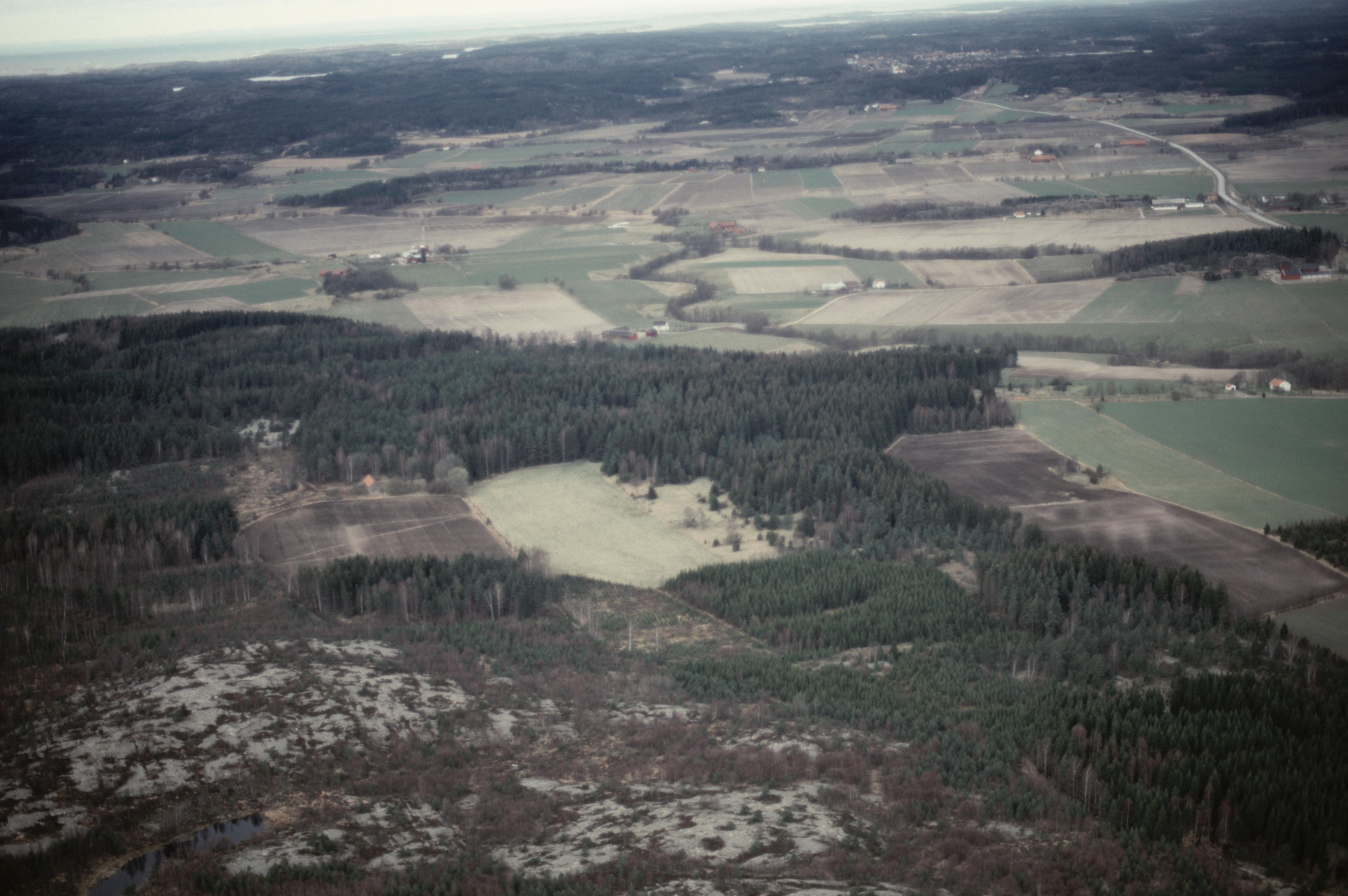Jan Norrman, Tanum 1287:1