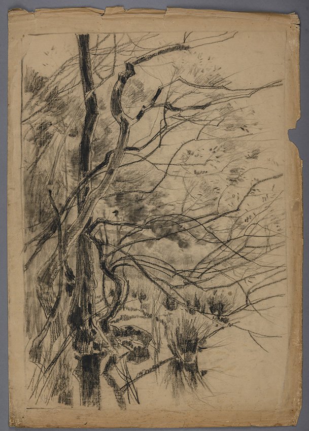 Karl Hagemeister, Bäume im Wasser, um 1886/1894