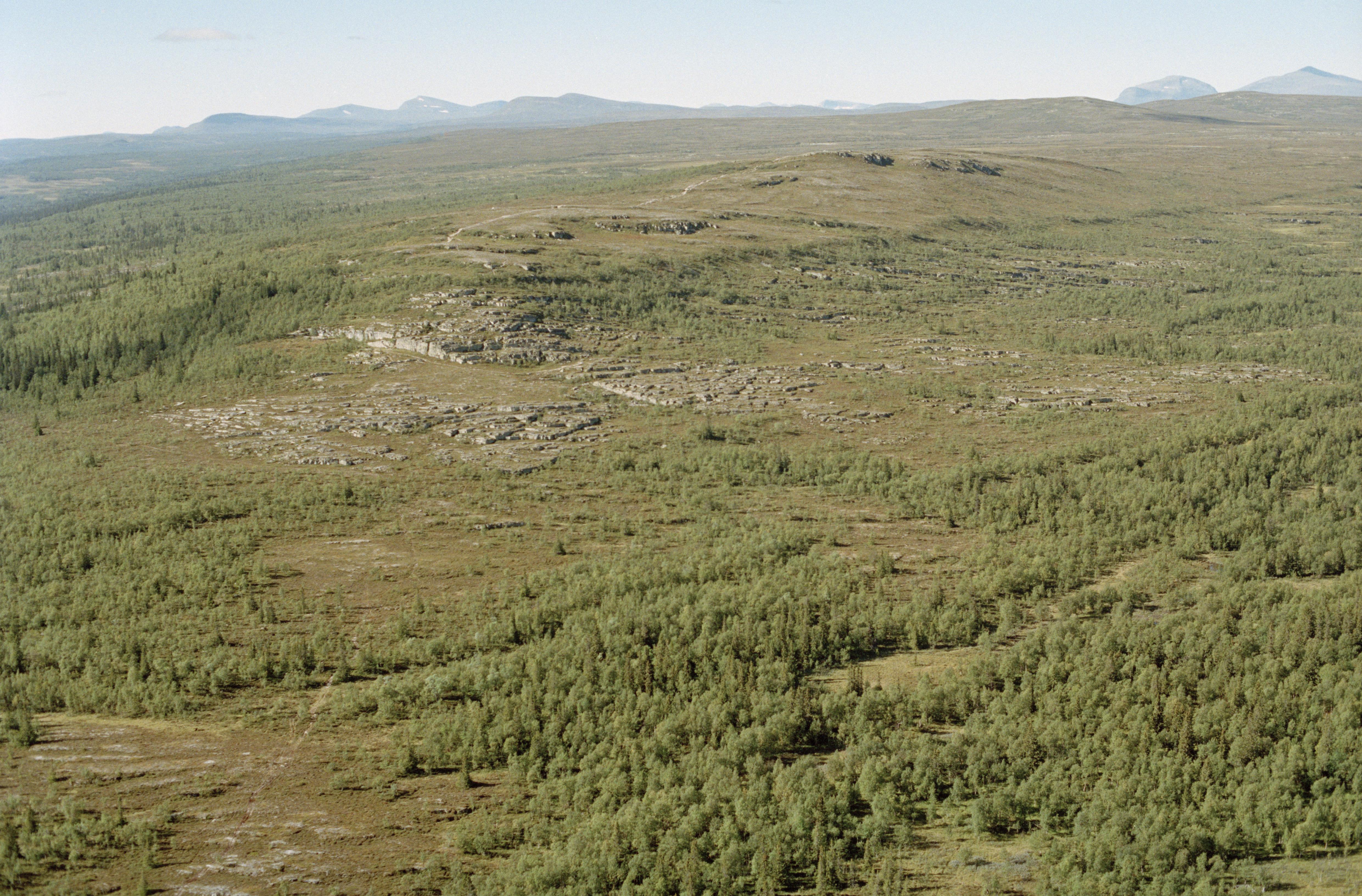 Jan Norrman, Tännäs 58:1