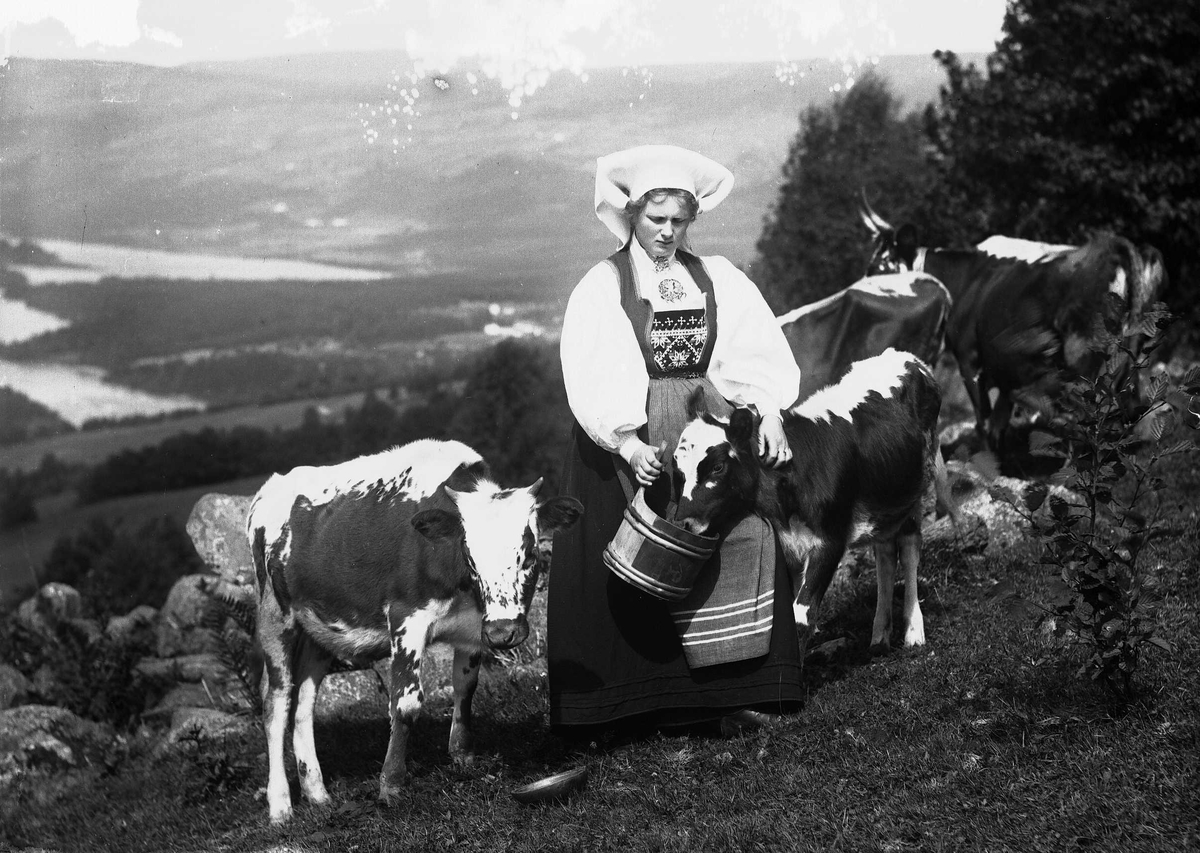 Solveig Lund, Kvinne i nasjonaldrakt klapper kalv som spiser av bøtte hun holder. En kalv står ved siden av og to kuer bak henne. Fjell og fjord i bakgrunnen.