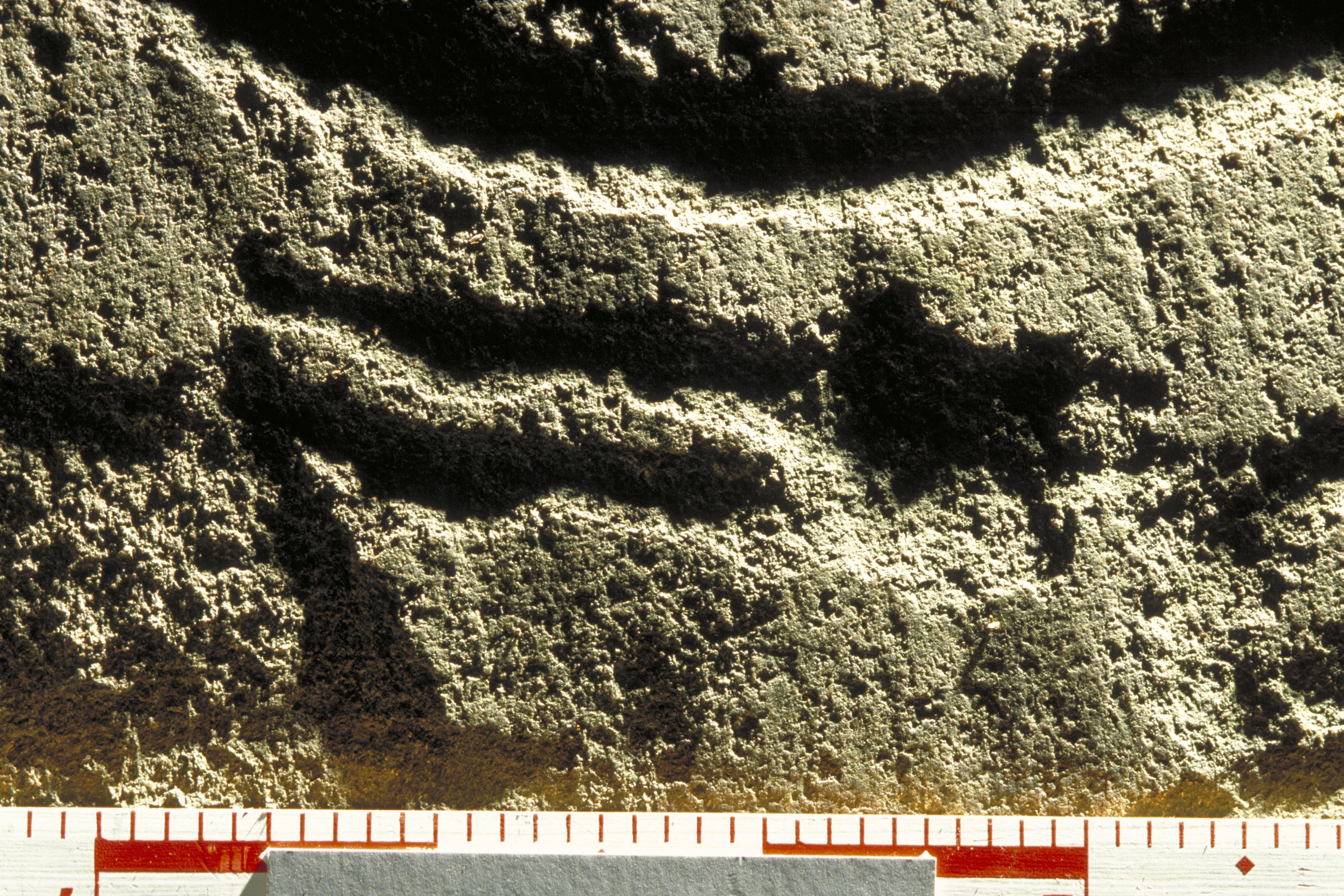 Bengt A Lundberg, Tanum 225:1