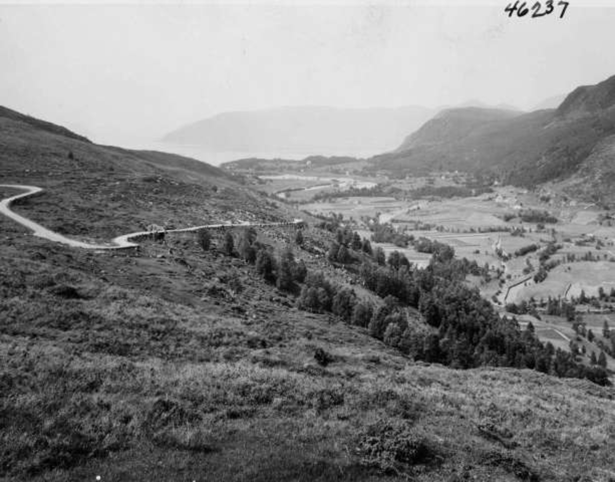 Anders Beer Wilse, -7018