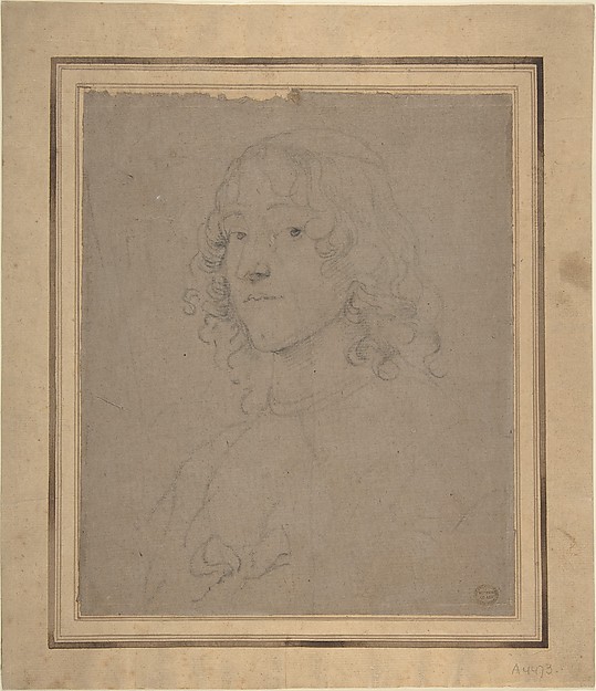 Anthony van Dyck, Portrait Study