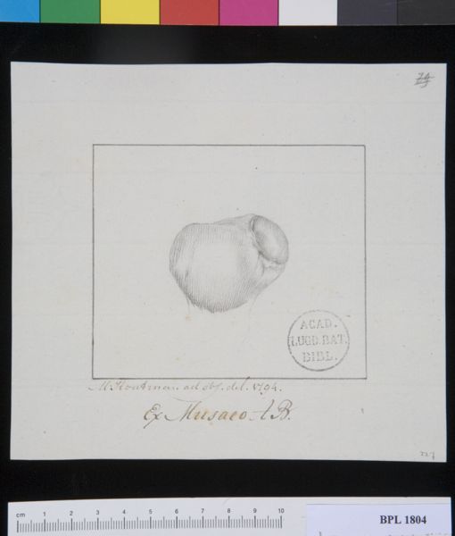 Poster, H.J, (active, Pathology, fractures (Patella)