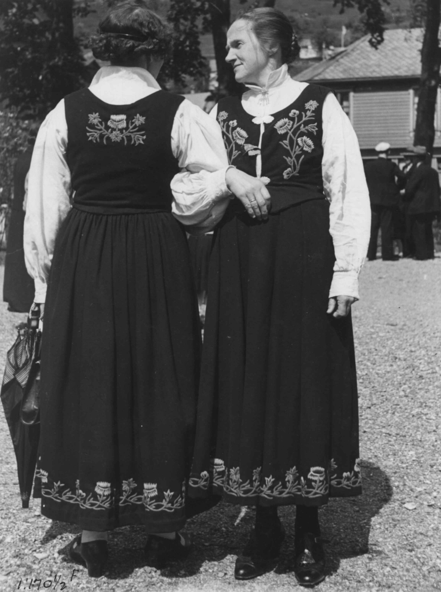 Anders Beer Wilse, Kvinnedrakter, Nordland