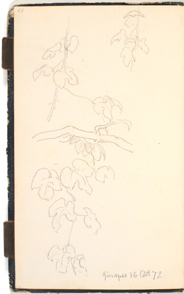 P.C. Skovgaard, Vinblade