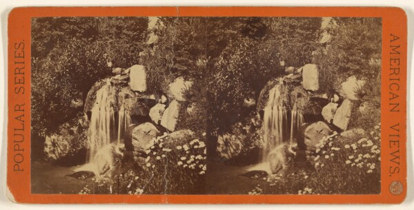 Edward and Henry T. Anthony & Co., Central Park, (New York.) Drip Rock in the Ramble.