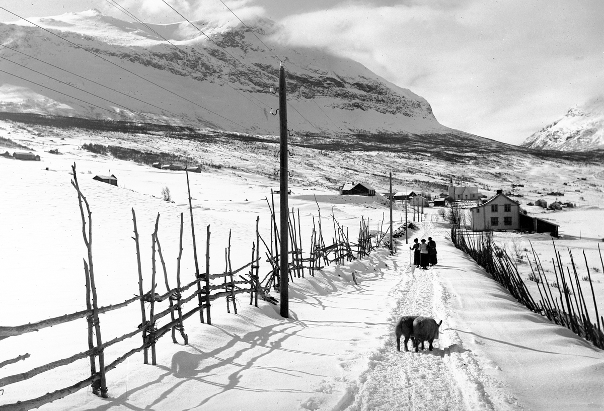 Anders Beer Wilse, Prot: Valdres Grindafjeld fra Vang