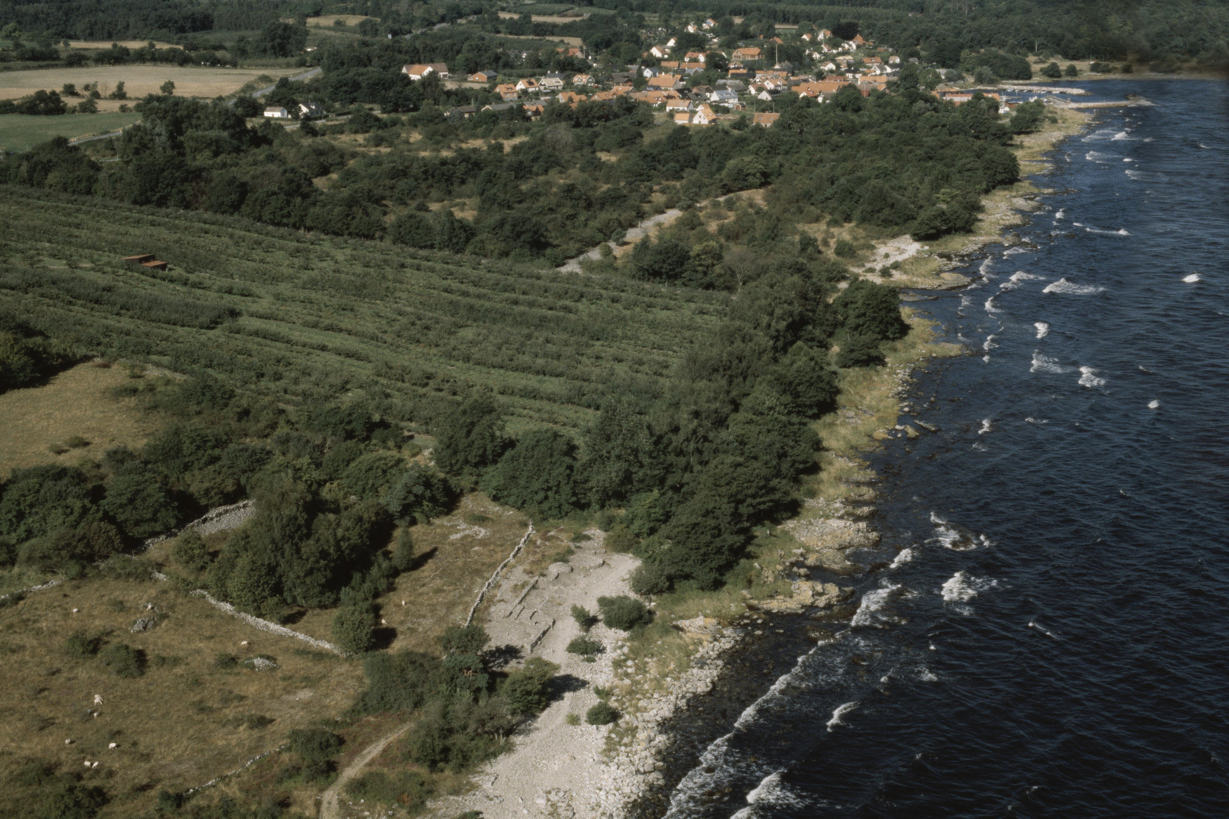 Jan Norrman, Svingeln