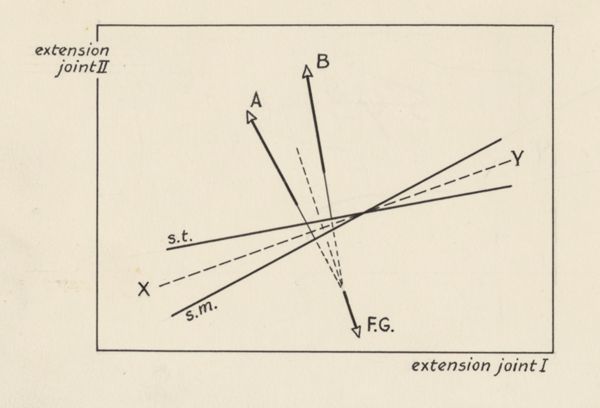 J Tinkelenberg, Diagram about joint extensions
