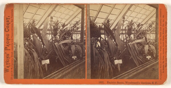 Carleton Watkins, Espirito Santo, Woodward's Gardens, S.F.