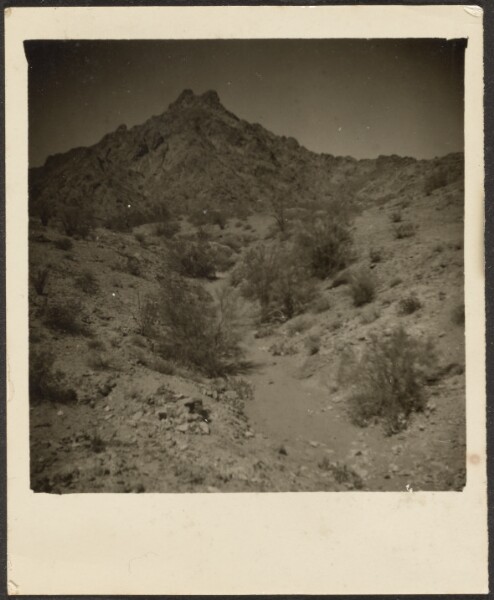Louis Fleckenstein, [Landscape]