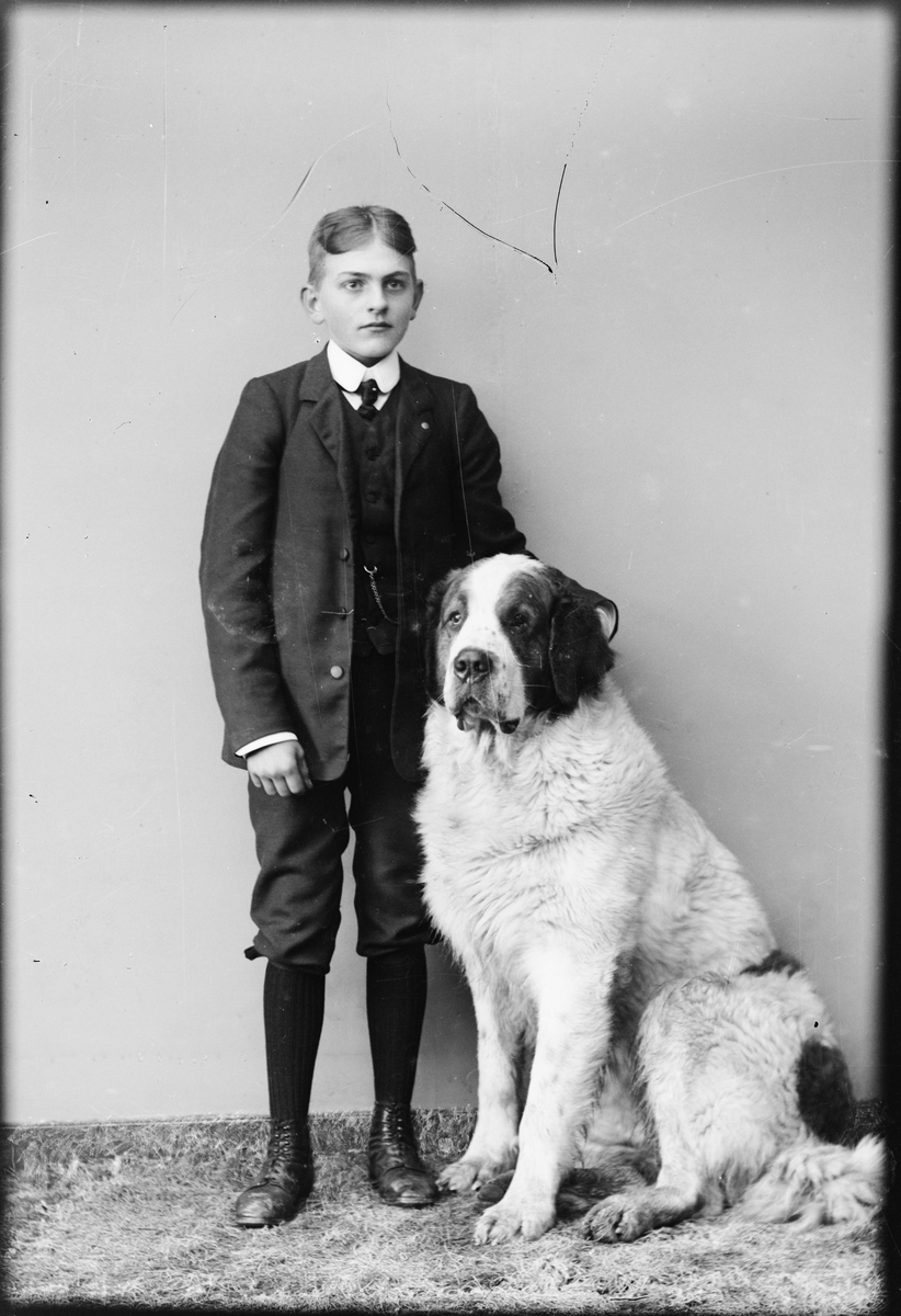 Skötsner-Edhlund, Ateljéporträtt - pojke med stor hund, Östhammar, Uppland