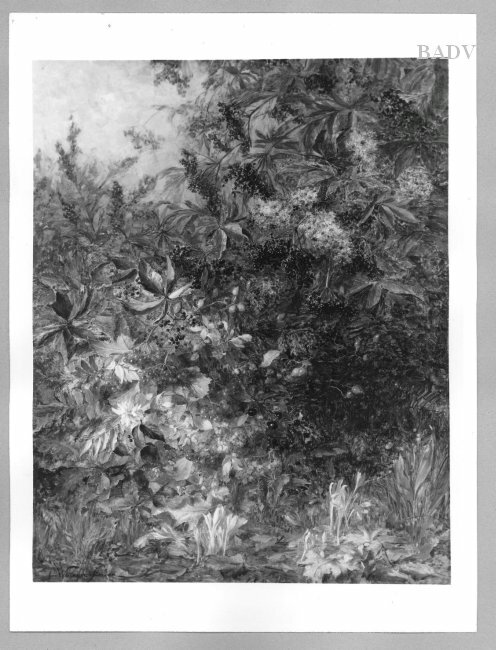 Olga Wisinger-Florian, Leaves and berries in fall