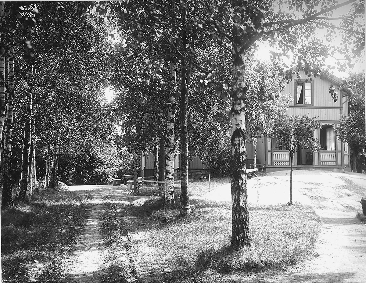 Anders Beer Wilse, Prot: Linthows Villa