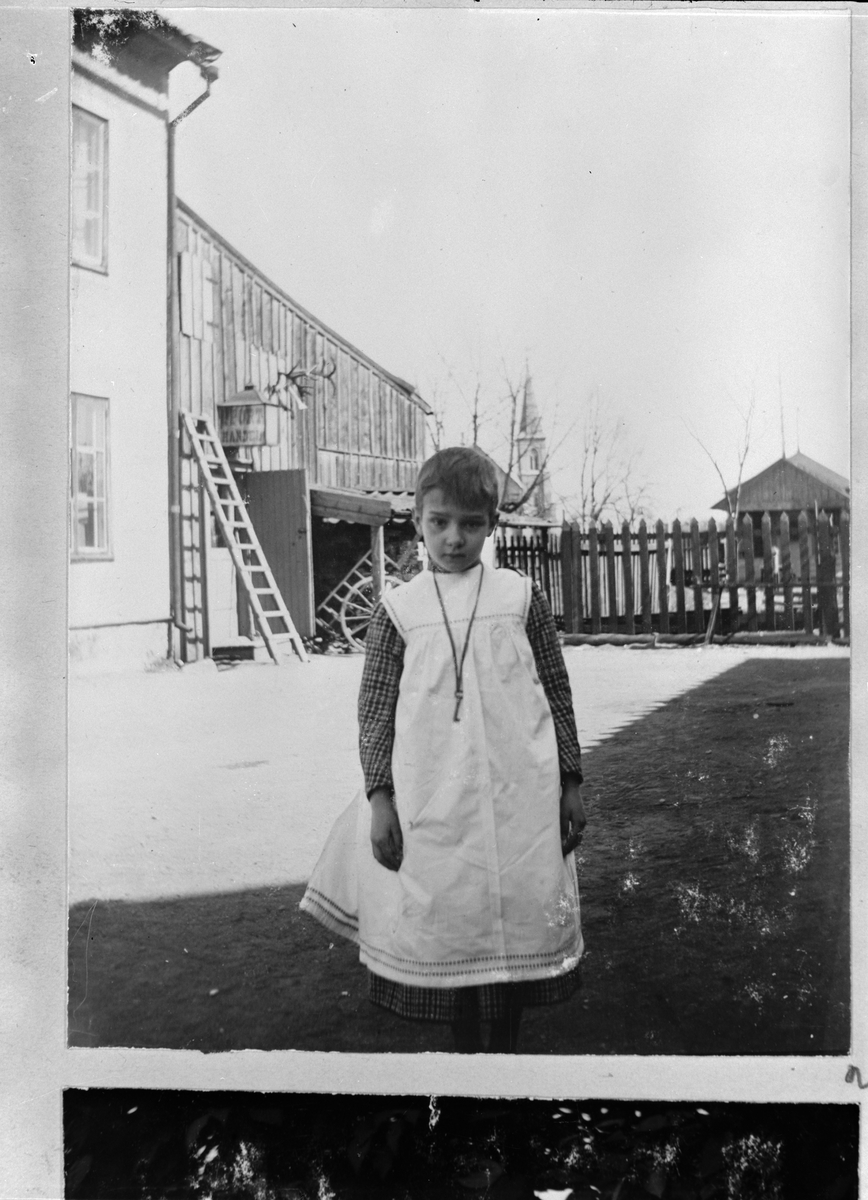 Carl Liljefors, Carin Liljefors, Svartiljden 37, the district Edda, Svartiljen, Uppsala 1900 - 1901