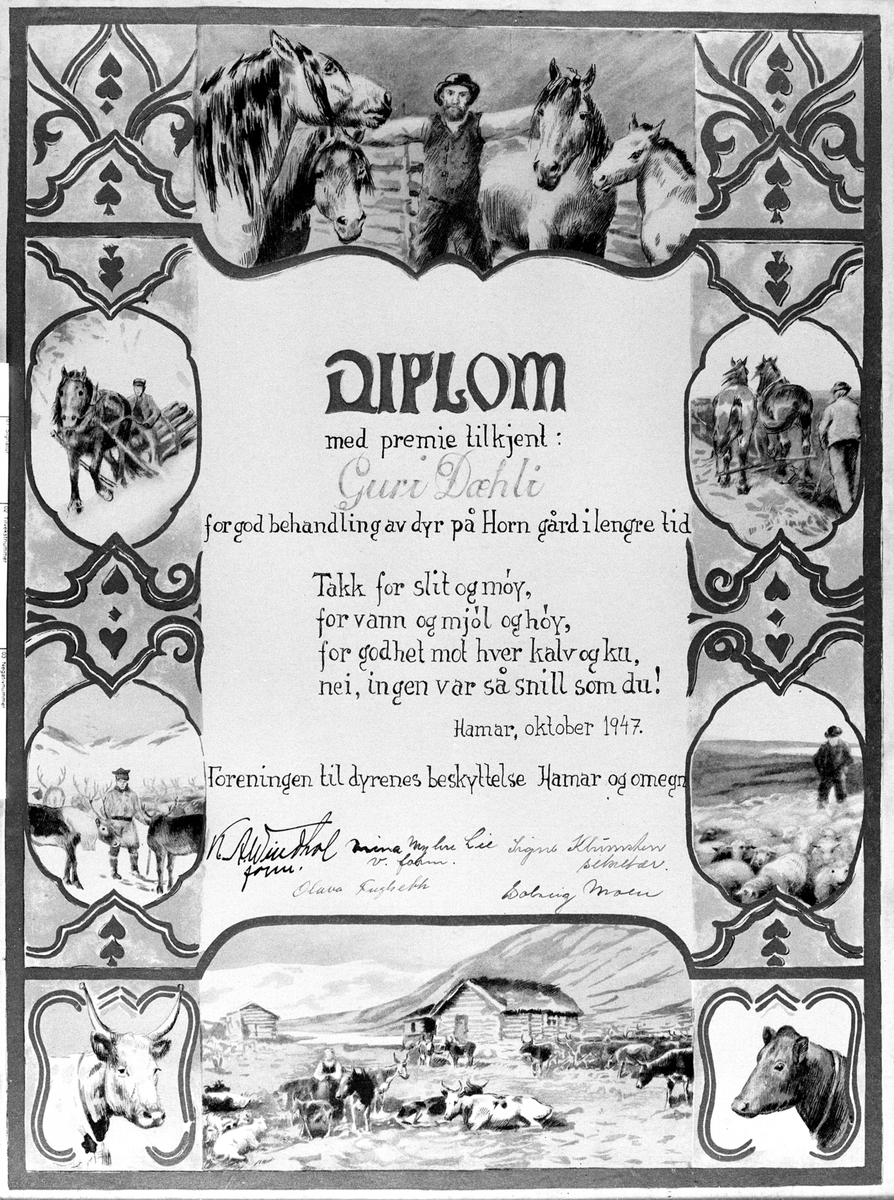 Anno Domkirkeodden, Diplom tildelt Guri Dæhli for god behandling av dyr på Horn, Helgøya i 1947.