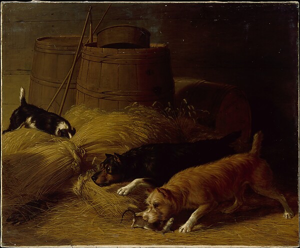 Thomas Hewes Hinckley, Rats amongst the Barley Sheaves