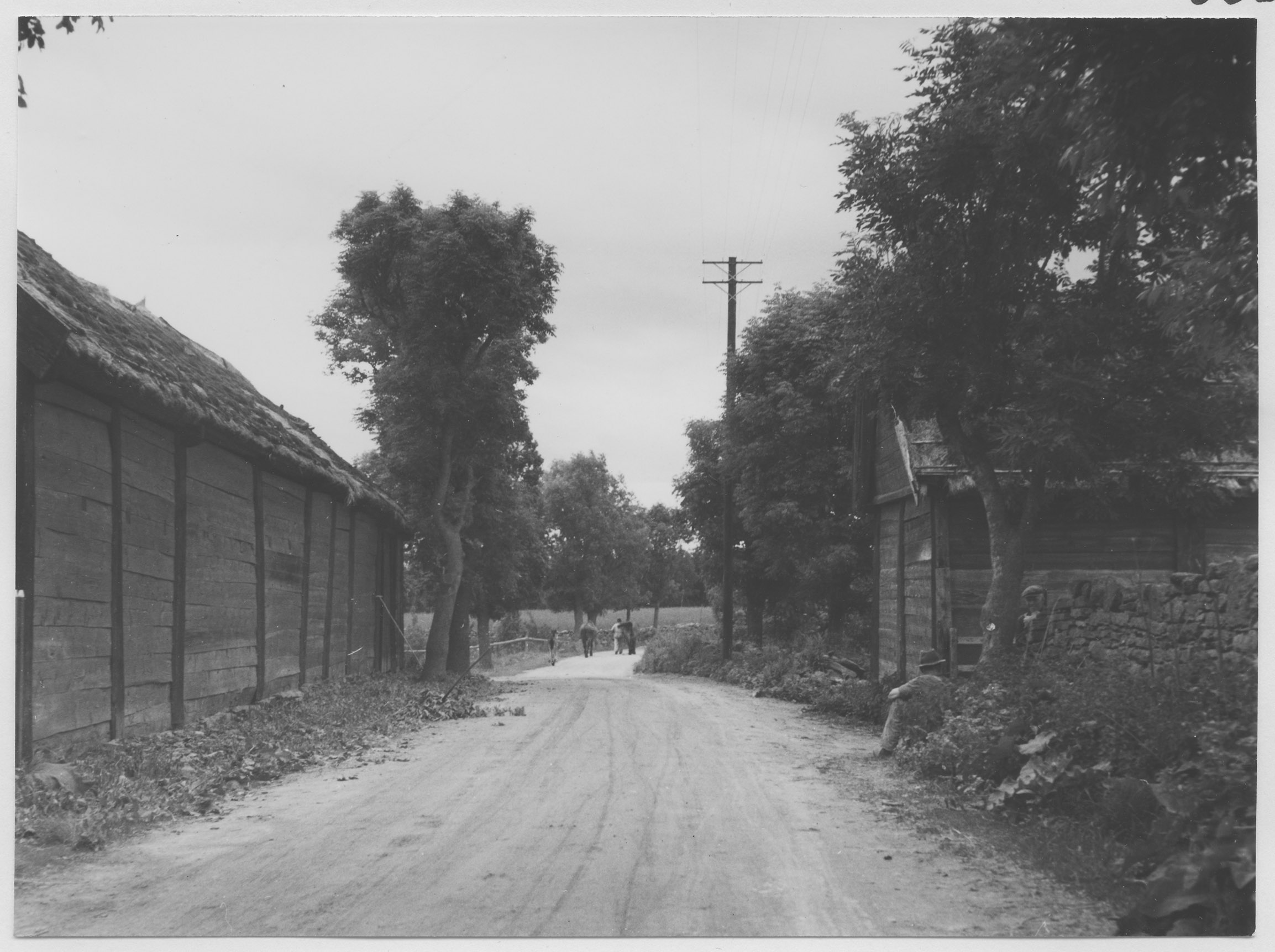 Mårten Sjöbeck, Alfvedsjö, bygatan
