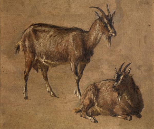 André Plumot, Goats