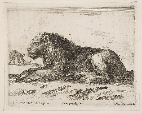 Stefano della Bella, Reclining lion, plate 5 from "Various Animals" (Diversi Animali)
