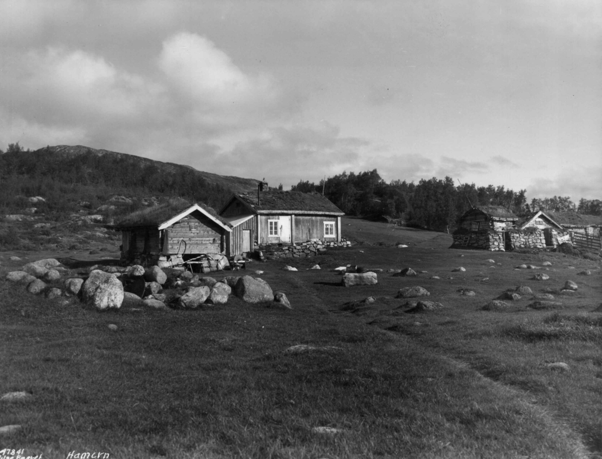 Anders Beer Wilse, Hamaren, Bebyggelse