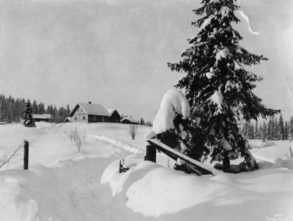 Anders Beer Wilse, -7289
