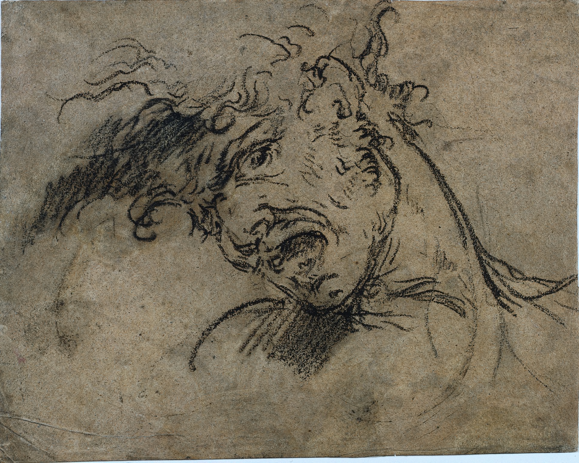 Benjamin West, Head of a Screaming Man (recto)