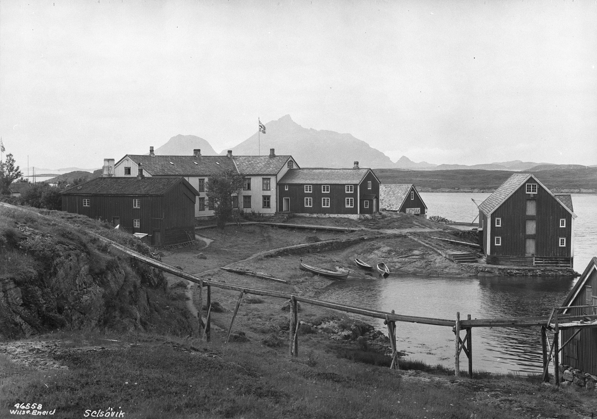 Anders Beer Wilse, Prot: Selsvik Hestmannøen