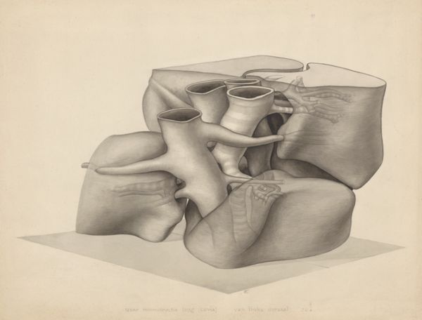 J Tinkelenberg, Lungs