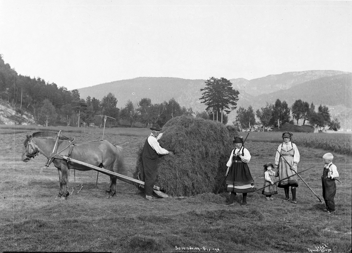 Axel Lindahl, "Prot: Høibjergning i Bygland