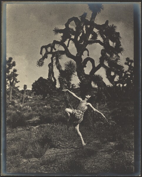 Louis Fleckenstein, Inspiration of the Dance