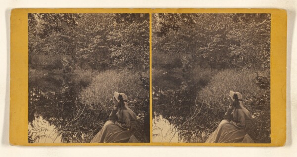 John B. Heywood, Solitude. [White Mountain]