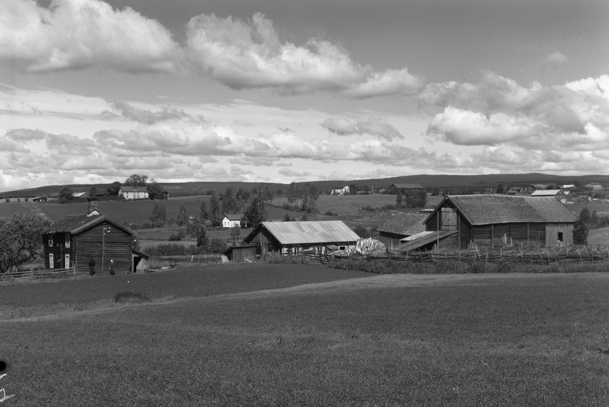 Anno Domkirkeodden, EKSTR: GARDSTUN, VØLESTAD NEDRE, (NERGARDEN VØLESTAD), LØTEN. Se Løtenboka, bind 1. Bygdeboka fra 1949, side 377