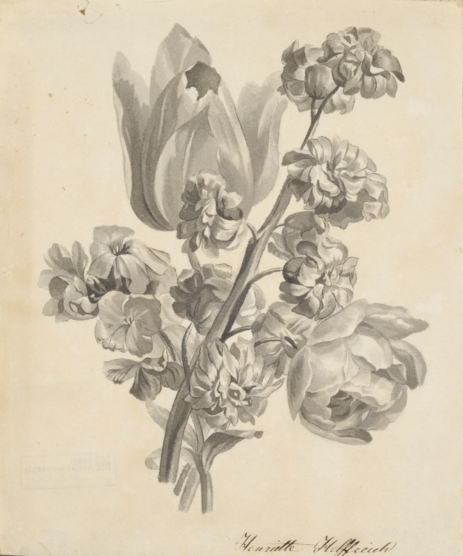 Henriette von (autor) Helffreich, Kimp lilli