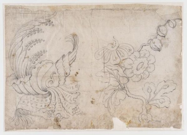 unknown, Drawing