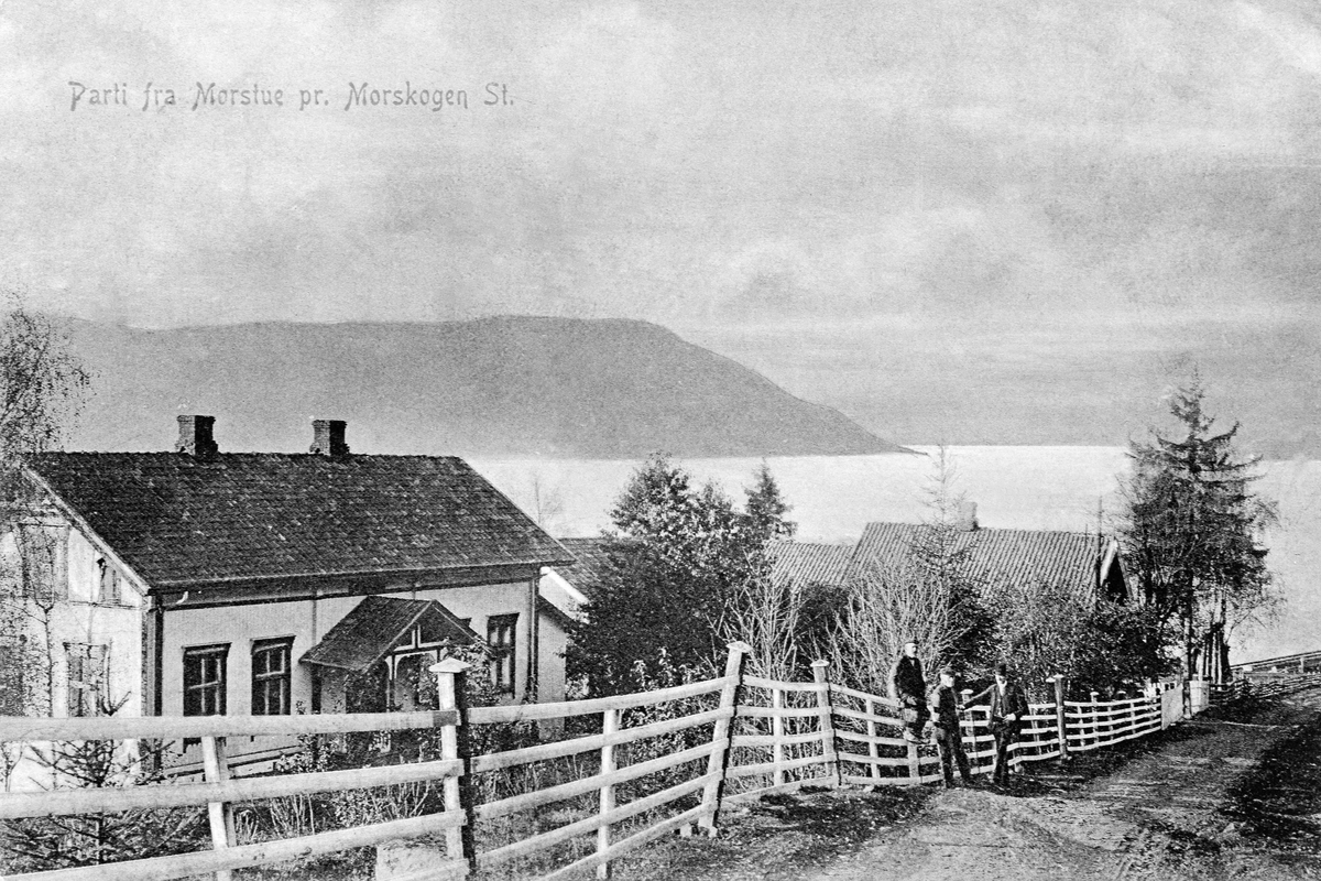 Normann Helger, EKSTERIØR: MOSTUE NORDRE (g. br. nr 189/7) M. M. MOT MJØSA, GAMLE KONGEVEG, STRANDLYKJA, MORSTU NEDRE, JERNBANESKINNER. POSTKORT. NORDRE MOSTUE LIGGER MELLOM STRANDLØKKEN OG MOSTUE NEDRE.
