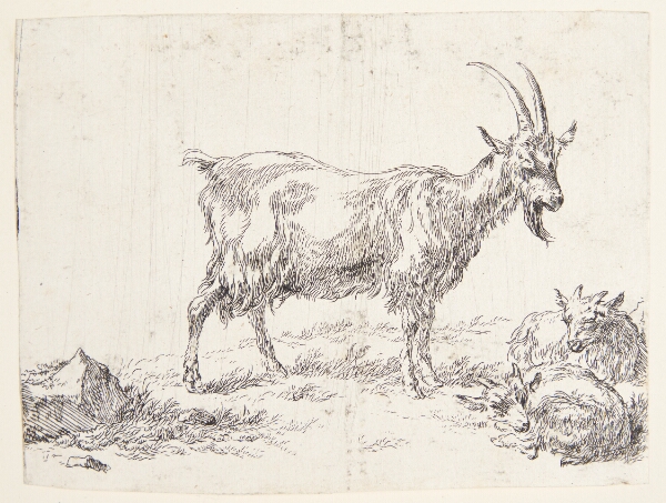 Nicolaes Berchem, Stående ged og to gedekid