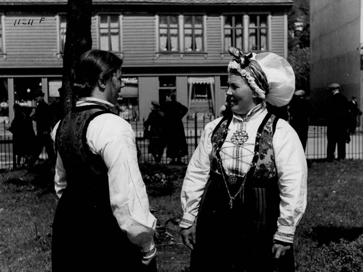 Anders Beer Wilse, Kvinnedrakt, Sogn og Fjordane.