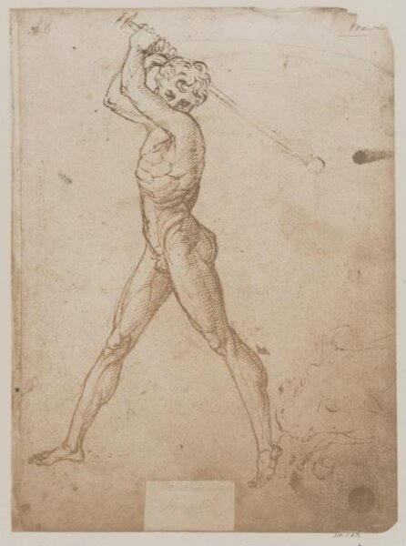 Fratelli Alinari, Study of a nude male figure