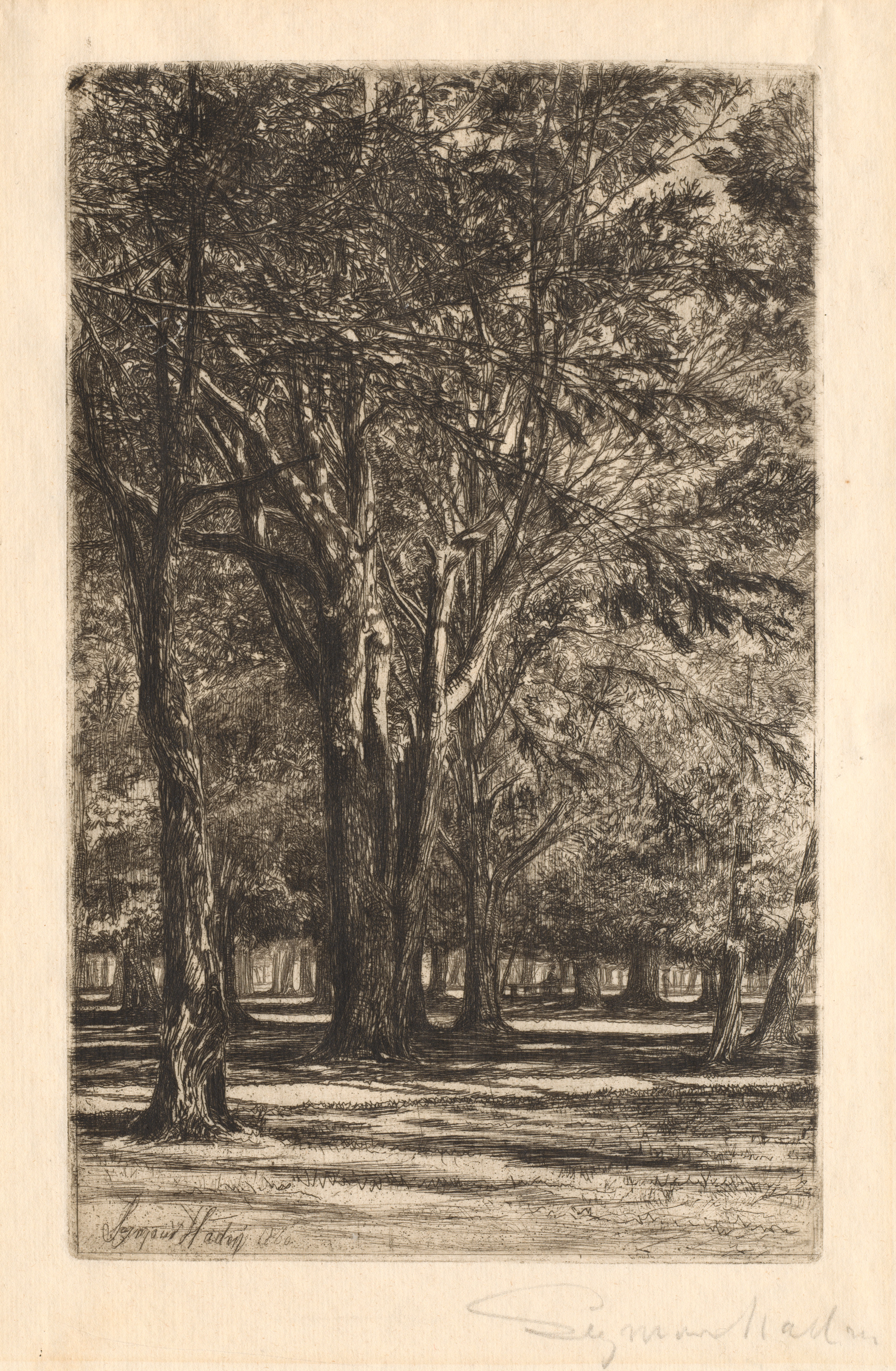 Francis Seymour Haden, Kensington Gardens, No. 2 (Large Plate)