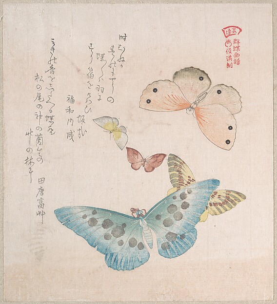 Kubo Shunman, Various Moths and Butterflies