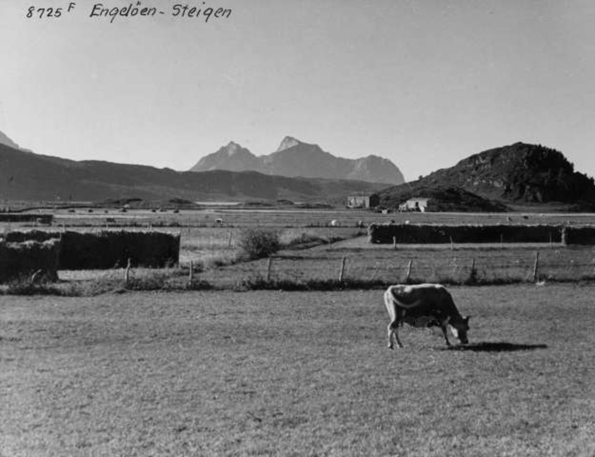 Anders Beer Wilse, -5554