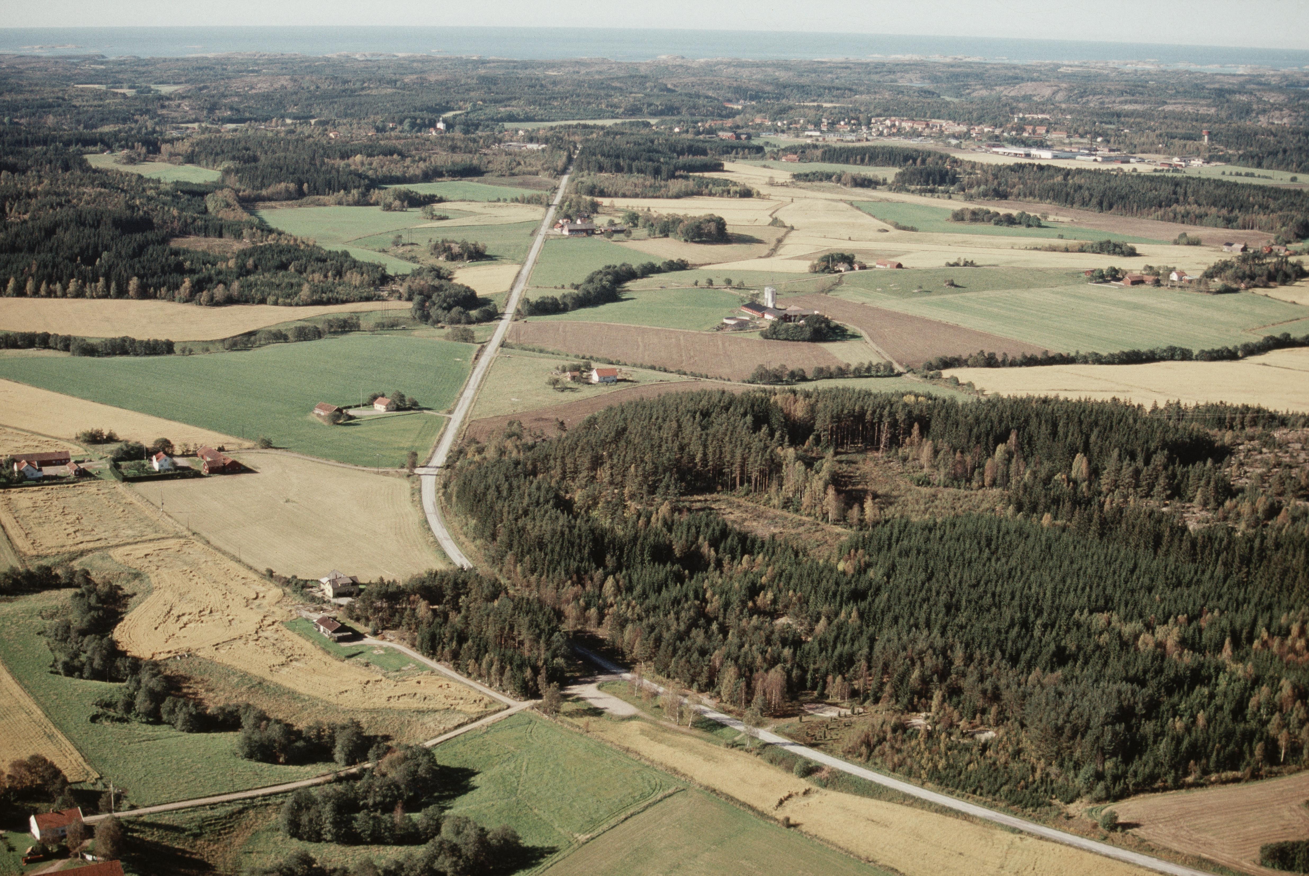 Jan Norrman, Tanum 261:1