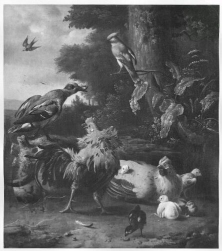 Melchior d'Hondecoeter, cock, hen and other birds