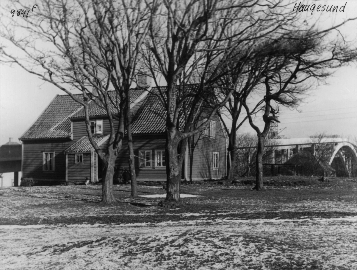 Anders Beer Wilse, Wilse original. Viser hus bak store trær.